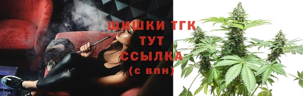 гидропоника Белокуриха