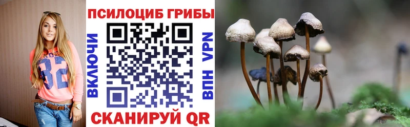 mega зеркало  Омутнинск  Псилоцибиновые грибы мицелий 